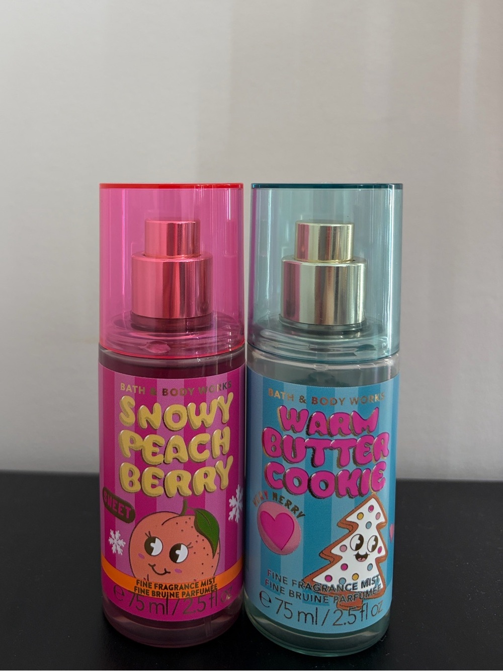 Bath and Body Works Bundle
